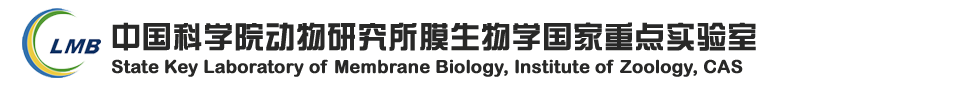State Key Laboratory of Membrane Biology